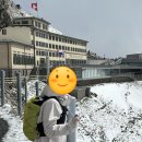 11620-25-5-6 | [25년5월~6월]스위스여행후기#2 필라투스