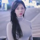 맥심핏