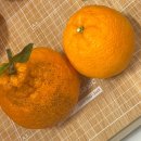 유동욱한의원 이미지