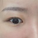 [청담역 속눈썹 잘하는 곳] 스파나무 청담점 비브로우(BEE.BROW) 속눈썹펌 후기