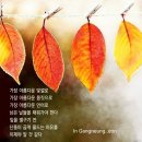 11월17일(금) 강원방 출석글 이미지