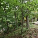 금원산계곡화장실 이미지