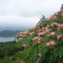 한산도 제승당 이미지