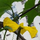 주례현대무지개상가 이미지