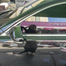 스파이더 세차장 광택 이미지