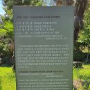 완도 고금도 지석묘군 이미지