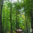 거제도해수보양온천 이미지