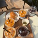 해관농장 | 김제 아이랑 가볼만한곳 체험농장 카페 휘게팜 레드향 체험 후기