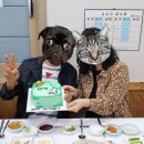 마카롱꿉당 이미지