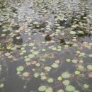 남양주시농업기술센터 이미지