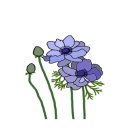 사모아공인중개사사무소 이미지