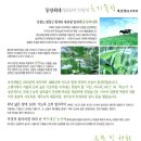 여름목장 티스토리