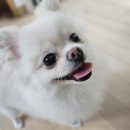 이가소프트 이미지