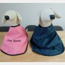 도그리썸 이미지