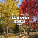 모악산도립공원 | [전북/김제] 가을에 가볼만한 산책하기 좋은 장소 '모악산 도립공원(금산사)' 주차 꿀팁