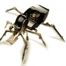 꽁트(Conte) 이미지