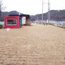 데일리 207 이미지