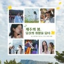 제주봄 이미지