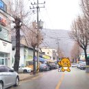 할렐루야마트