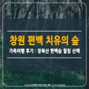 장복산길 | 창원 편백 치유의 숲 가족여행 후기 : 장복산 편백숲 힐링 산책