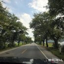 화양밸리펜션 자연의향기민박 | 붐비지 않아서 좋았던 괴산 사담계곡 무료 스팟 당일 물놀이 추천지 (평상 대여 물놀이 정보)