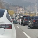 관산리마을회관 | 3월의 봄꽃 전남 구례 산수유축제 코스공유 마지막날 분위기