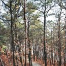 부락산 둘레길 이미지