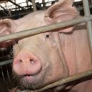 왕금성(이수역점) 이미지