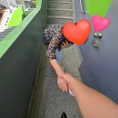 서구치매안심센터(5) | 치매 검사/진단/과정 무료로 동행해드려요 ♥대구 서구 방문요양♥이로운재가복지센터♥