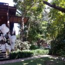 태국 한달살기( 동행자 결원으로 추가 몇분 더 모십니다) 이미지