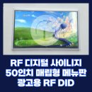 블루샥남