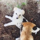 지성농장 이미지