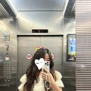아이폰 프로 14 케이스 추천 : KALLA 패딩 케이스 + 악세사리