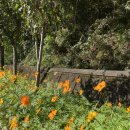 맛꼬방 고산점 이미지