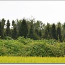 원우농장 이미지