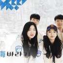 유니바라기