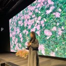파보플라워 | JW 메리어트 서울 2026 웨딩 쇼케이스 LOVE, CURATED (반포 메리어트), 헤리티크뉴욕 후기