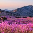 25.4.20(일) 대구 앞산~비슬산 종주 이미지