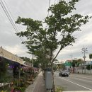 오금근린공원 네이버블로그