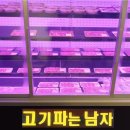 고기파는 남자 티스토리