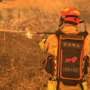 전국 27곳서 산불 비상… 진화대원 2명 숨지고 수백명 대피