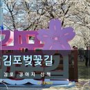 내품안의 반려견 김포점 | 김포 애견동반 벚꽃 산책 김포벚꽃길 위치 ft.반려견