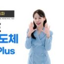 순자 주식회사 화이트페이퍼