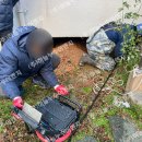 텃골로 33번길 이미지