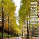 소선암유원지(야영장)내 이미지