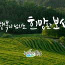 SAC ON SCREEN 추남,미녀Part2 이미지