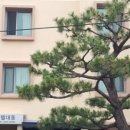 대동호텔 이미지