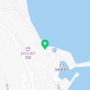 탠 포지티브 이미지