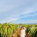 용고개농장 이미지