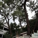 초현경로당 이미지